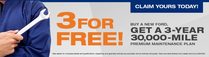 premium maintenance plan