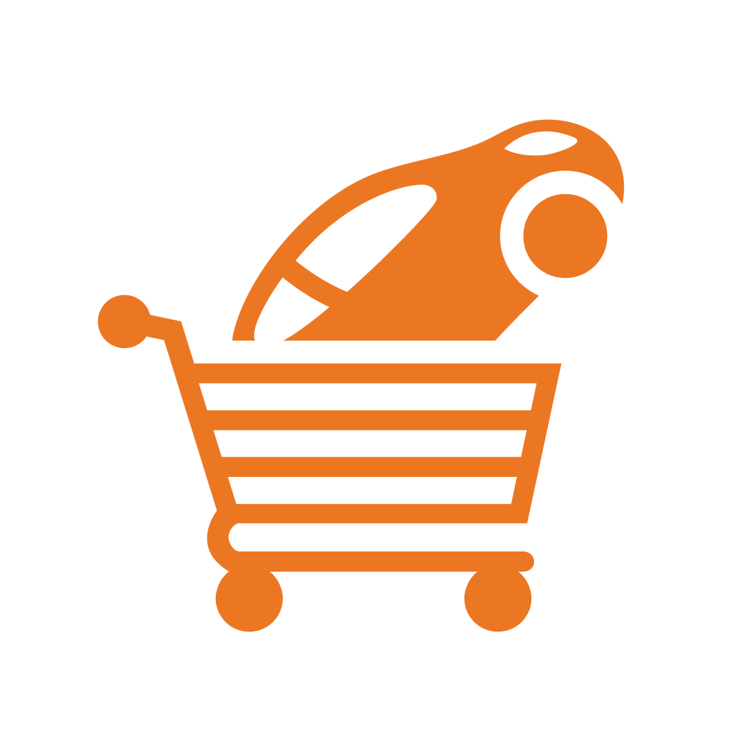 Car and Shopping Car Icon